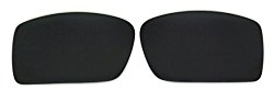 Polarized Replacement Lenses for Oakley Gascan Sunglasses (Black) NicelyFit