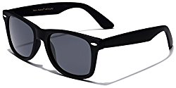 Retro Rewind Classic Polarized Sunglasses