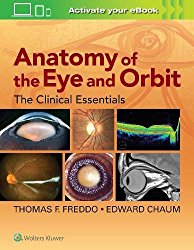 Anatomy of the Eye and Orbit: The Clinical Essentials