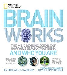 Brainworks: The Mind-bending Science of How You See, What You Think, and Who You Are