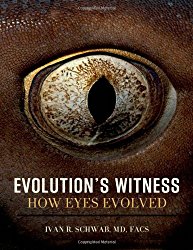 Evolution’s Witness: How Eyes Evolved