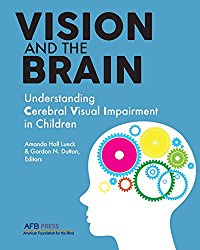 Vision and the Brain: Understanding Cerebral Visual Impairment in Children